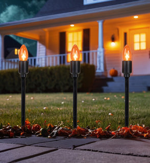 Product Image: 34854960 Holiday/Halloween/Halloween Indoor Decor