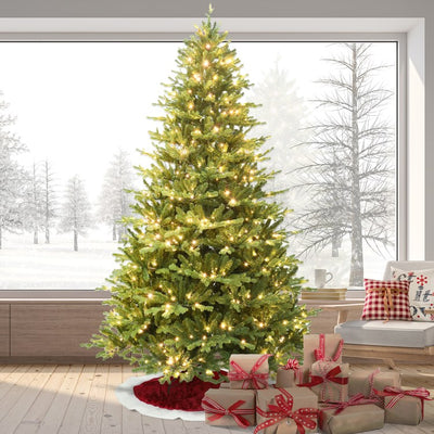 7.5' Pre-Lit Oregon Pine Christmas Tree with Warm White LED Lighting