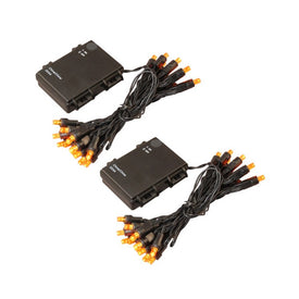 Battery-Operated LED Mini String Lights with Timer Set of 2 - Orange