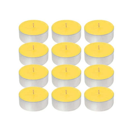Extra-Large Citronella Tealight Candles Set of 12