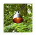 35501 Lighting/Outdoor Lighting/Outdoor String Lights