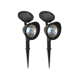 Solar-Powered Black Spotlights Set of 2
