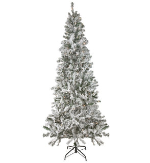 Product Image: 34865261 Holiday/Christmas/Christmas Trees