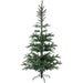 32275088 Holiday/Christmas/Christmas Trees