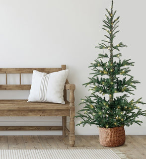 Product Image: 32275088 Holiday/Christmas/Christmas Trees