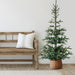 32275088 Holiday/Christmas/Christmas Trees