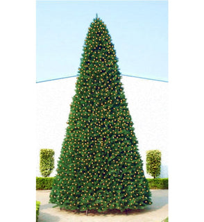 Product Image: 33388892 Holiday/Christmas/Christmas Trees