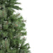 31450712 Holiday/Christmas/Christmas Trees