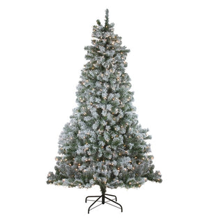 Product Image: 32915586 Holiday/Christmas/Christmas Trees