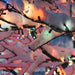32602393 Holiday/Christmas/Christmas Lights