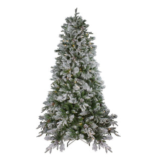 Product Image: 33388895 Holiday/Christmas/Christmas Trees