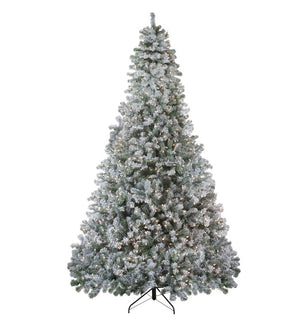Product Image: 32915587 Holiday/Christmas/Christmas Trees