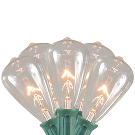 10-Count Clear Edison Glass Patio Light Set with 9' Green Wire
