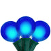 32913393 Holiday/Christmas/Christmas Lights