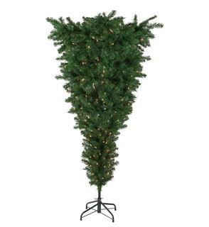 Product Image: 34908523 Holiday/Christmas/Christmas Trees