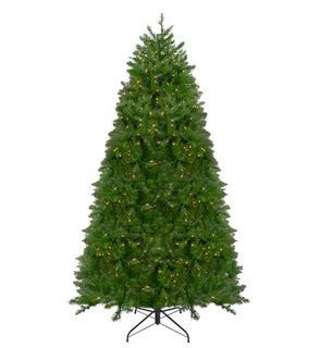 Product Image: 31752849 Holiday/Christmas/Christmas Trees