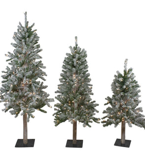 Product Image: 33532714 Holiday/Christmas/Christmas Trees