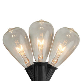10-Count Clear Edison Glass Patio Light Set with 9' Black Wire