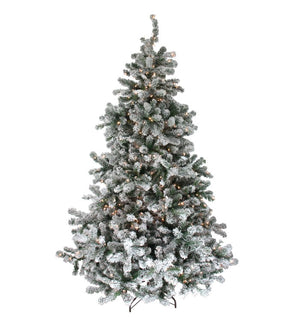 Product Image: 32620790 Holiday/Christmas/Christmas Trees