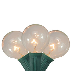 20-Count Clear G40 Globe Patio Garden Christmas Light Set with 19' Green Wire