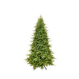 7.5' Grand Fir Medium Tree with Warm White LED Lights