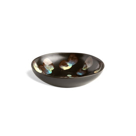 Dappled Dinner Bowls Set of 2
