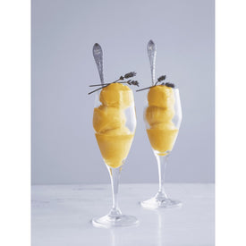 Perfection Champagne Glass Clear 6 Pieces 7.8 oz