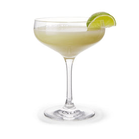 Cabernet Cocktail Glass Clear 6 Pieces 9.8 oz