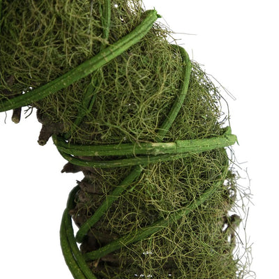 15" Unlit Artificial Moss and Vine Spring Twig Wreath
