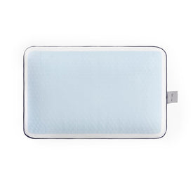 GelCell Visco Pillow