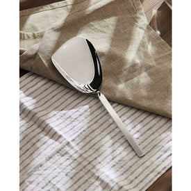 Dry Serving Spoon