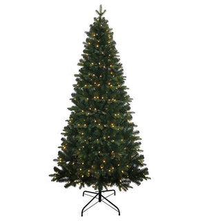 Product Image: TR73700LEDWW Holiday/Christmas/Christmas Trees