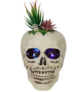 Product Image: 35131191 Holiday/Halloween/Halloween Indoor Decor