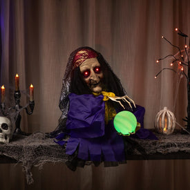 20" Lighted and Animated Fortune Teller Halloween Decoration