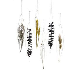 Captured Botanicals Large Christmas Ornaments Set of 6