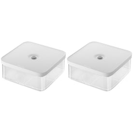 Fresh & Save 1.7-Quart Cube Boxes Two-Piece Set