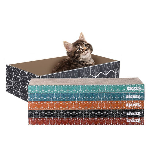 Naomi Modern Cardboard Reversible Cat Scratcher Pad in Box with Catnip