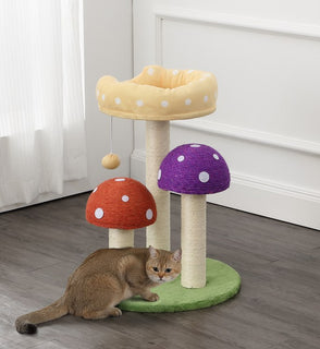 Product Image: CTR1001A Decor/Pet Accessories/Pet Beds