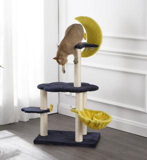 Product Image: CTR1003A Decor/Pet Accessories/Pet Beds