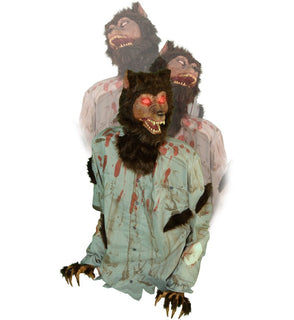 Product Image: HHHOWLER-1FLSA Holiday/Halloween/Halloween Outdoor Decor