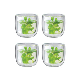 Sorrento Double-Wall Glass Tea Cups Set of 4