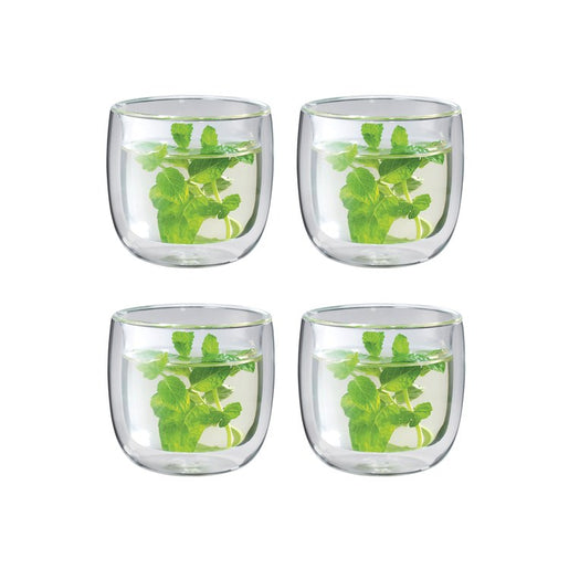 Sorrento Double-Wall Glass Tea Cups Set of 4