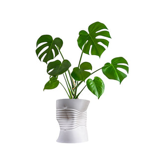 Product Image: USA2001C Outdoor/Lawn & Garden/Planters