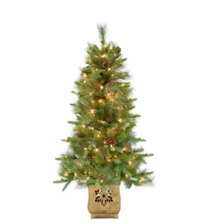 Product Image: SO-BPP40GLC Holiday/Christmas/Christmas Trees