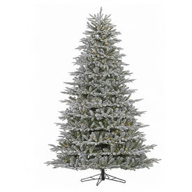 7.5' Pre-Lit Morning Frost Fraser Artificial Christmas Tree with 2800 Clear Rice Lights