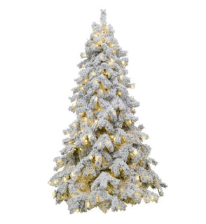 Product Image: SO-WNF75GFLSC Holiday/Christmas/Christmas Trees