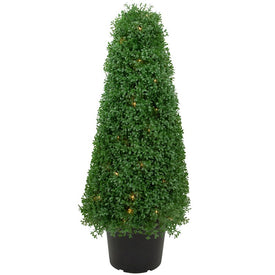 3' Pre-Lit Artificial Boxwood Cone Topiary Tree with Round Pot - Clear Lights