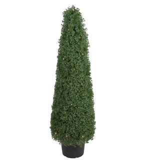 Product Image: 35133792 Decor/Faux Florals/Plants & Trees
