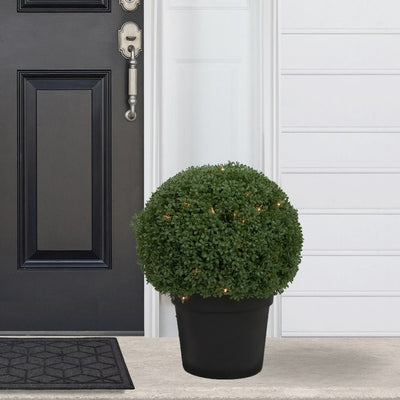 20" Pre-Lit Artificial Boxwood Ball Topiary in Round Pot - Clear Lights