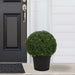 35133798 Decor/Faux Florals/Plants & Trees